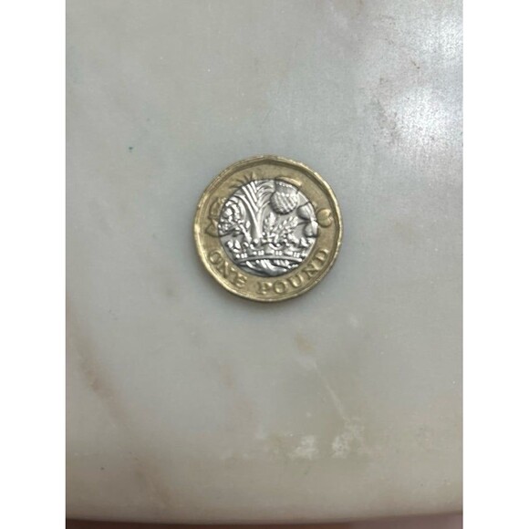 1 Pound 2017 Coins- SET OF 2 - Picture 4 of 5